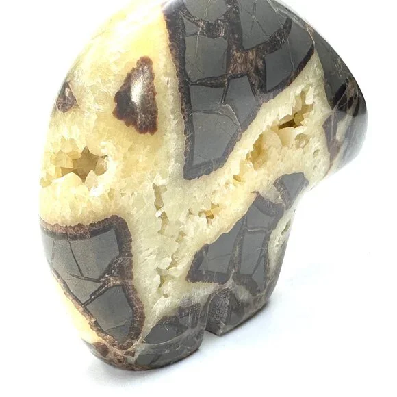 Septarian Bear Nodule Carving with Crystal Geode Center—AKA Dragon Stone —EUC